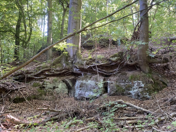 Vinaora Nivo Slider 3.x